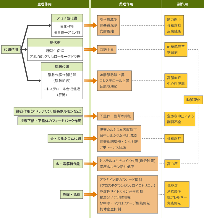 副作用と対策 | ステロイド・プラクティス | Steroid